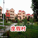 活力中國丨在數字化浪潮中感受中國經濟活力